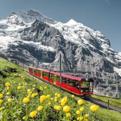 Grindelwald Tour Packages